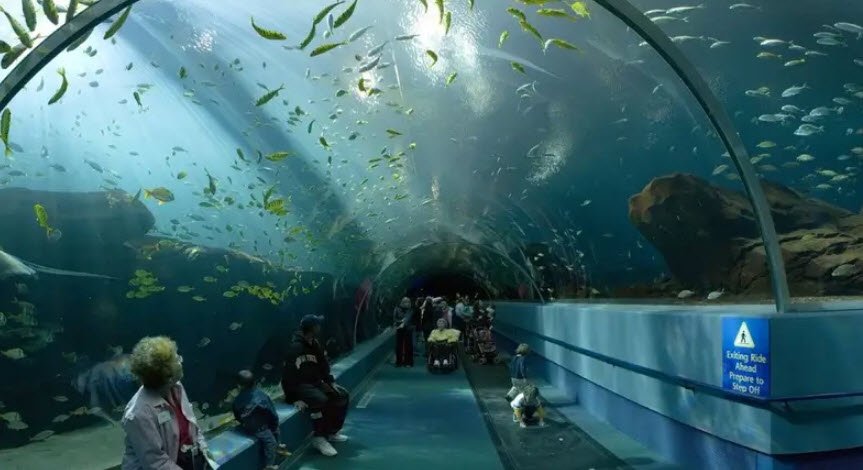 Bengaluru Aquarium, Bengaluru (Bangalore) Urban, Karnataka - Vushii.com
